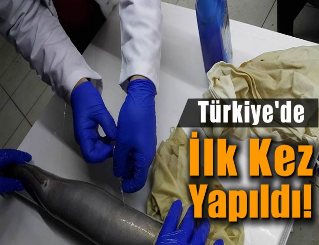 Türkiye'de İlk Kez Yapıldı!