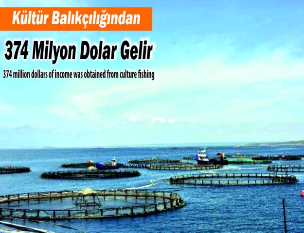 Kültür Balıkçılığından 374 Milyon Dolar Gelir