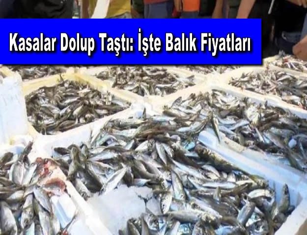 Kasalar Dolup Taştı: İşte Balık Fiyatları