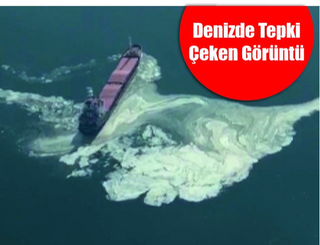 Denizde Tepki Çeken Görüntü