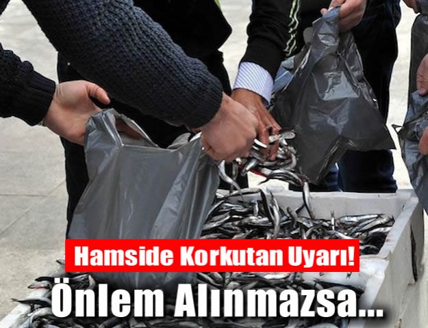 Hamside Korkutan Uyarı! Önlem Alınmazsa...