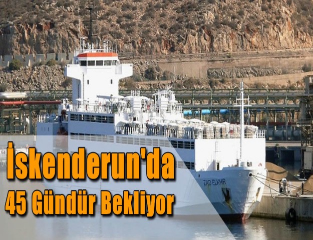 İskenderun'da 45 Gündür Açlar