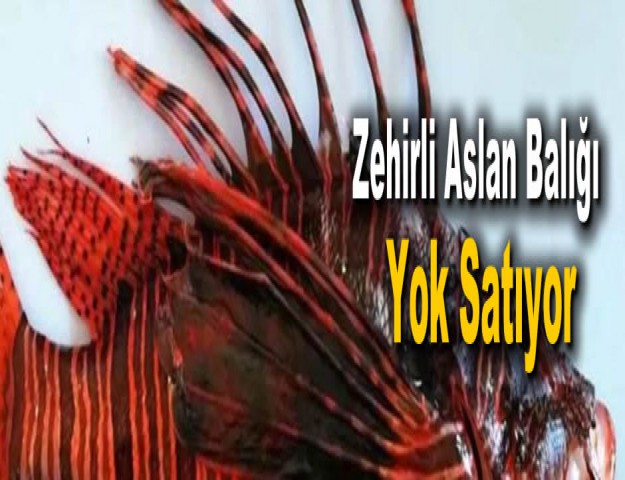 Zehirli Aslan Balığı Yok Satıyor