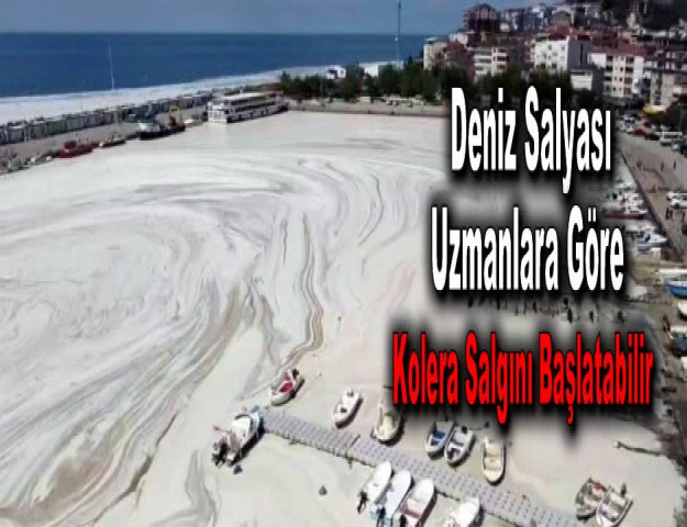 Deniz Salyası, Uzmanlara Göre Kolera Salgını Başlatabilir