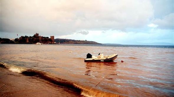 Bodrum'da Denizin Rengi Kahverengiye Döndü