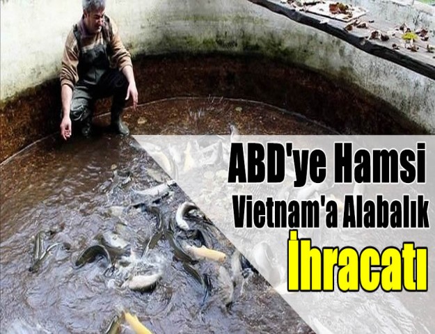 ABD'ye Hamsi Vietnam'a Alabalık İhracatı