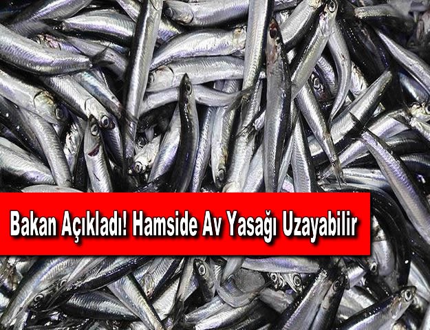 Bakan Açıkladı! Hamside Av Yasağı Uzayabilir