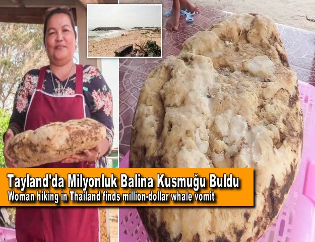 Tayland'da Milyonluk Balina Kusmuğu Buldu