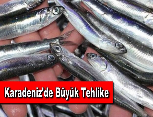 Karadeniz'de Büyük Tehlike