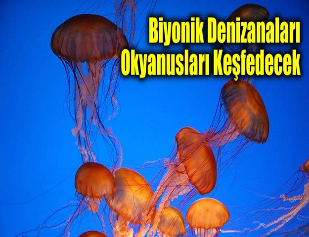 Biyonik Denizanaları Okyanusları Keşfedecek