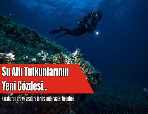 Su Altı Tutkunlarının Yeni Gözdesi...