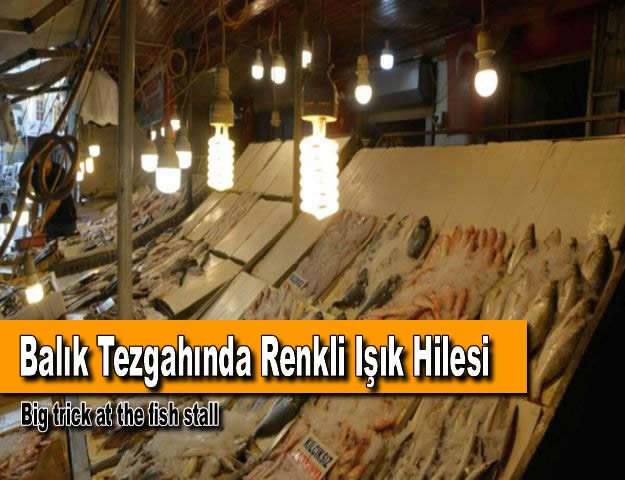 Balık Tezgahında Renkli Işık Hilesi