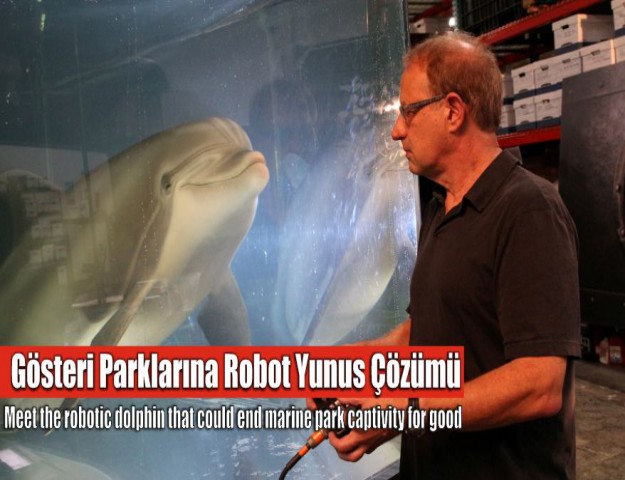 Gösteri Parklarına Robot Yunus Çözümü