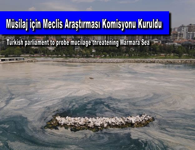 Müsilaj için Meclis Araştırması Komisyonu Kuruldu