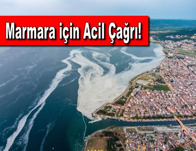 Marmara için Acil Çağrı!