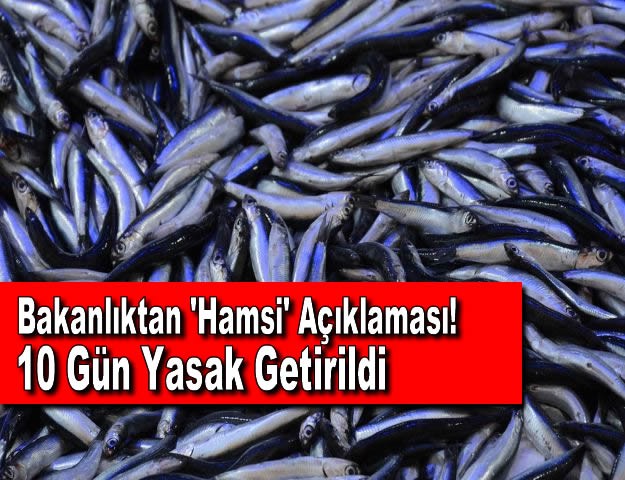 Bakanlıktan 'Hamsi' Açıklaması! 10 Gün Yasak Getirildi