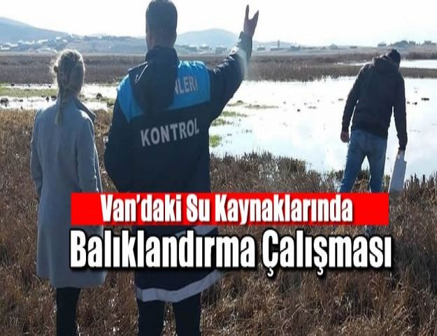 Van’daki su kaynaklarında balıklandırma çalışması