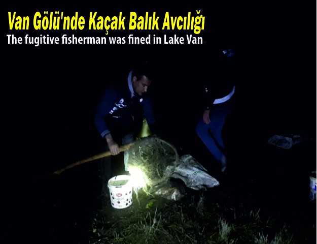 Van Gölü’nde Kaçak Balık Avcılığı