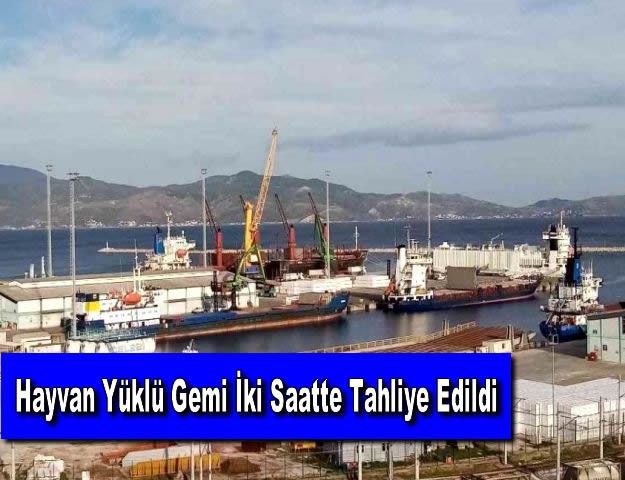 Hayvan Yüklü Gemi İki Saatte Tahliye Edildi