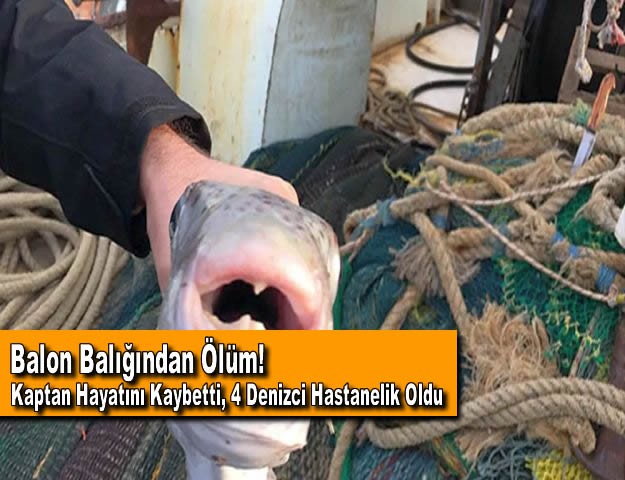 Balon Balığından Ölüm! Kaptan Hayatını Kaybetti, 4 Denizci Hastanelik Oldu