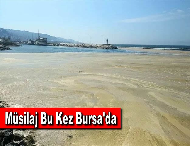 Müsilaj Bu Kez Bursa'da