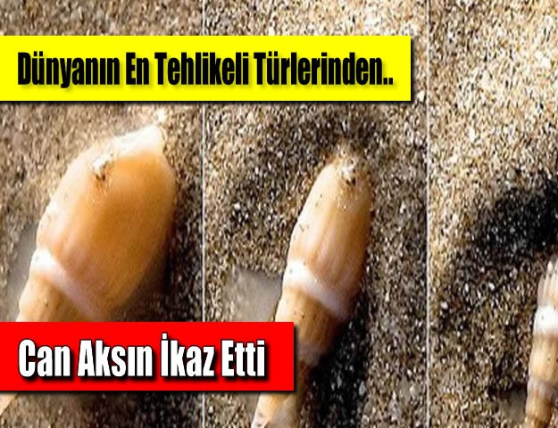 Can Aksın İkaz Etti.. Dünyanın En Tehlikeli Türlerinden..