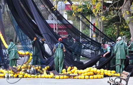 AB'den balık avlanma kotasına düzenleme