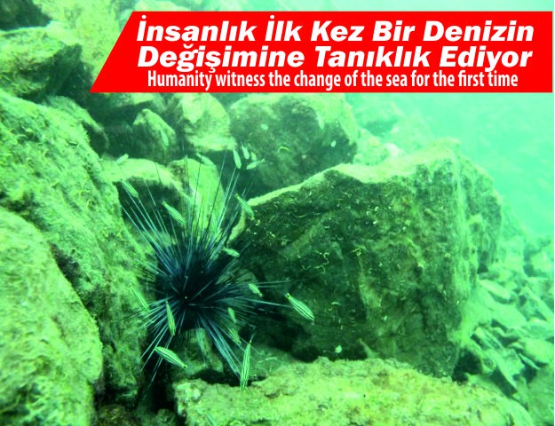 İnsanlık İlk Kez Bir Denizin Değişimine Tanıklık Ediyor