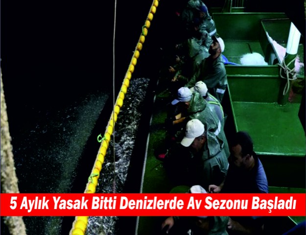 5 Aylık Yasak Bitti Denizlerde Av Sezonu Başladı