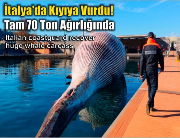 İtalya'da Kıyıya Vurdu! Tam 70 Ton Ağırlığında