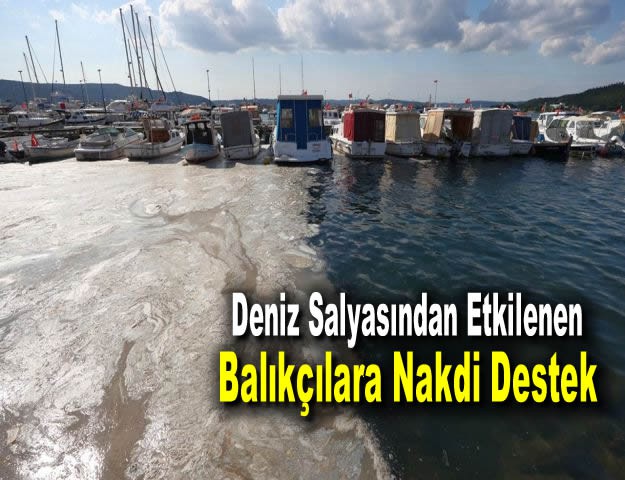 Deniz Salyasından Etkilenen Balıkçılara Nakdi Destek