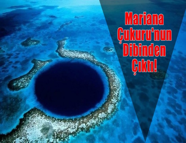 Mariana Çukuru'nun Dibinden Çıktı!