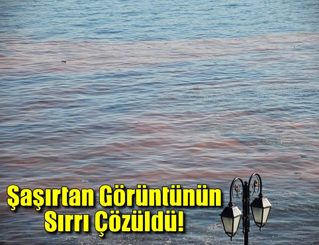 Şaşırtan Görüntünün Sırrı Çözüldü!