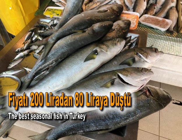 Fiyatı 200 Liradan 80 Liraya Düştü