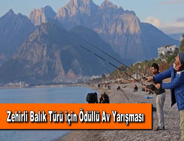 Zehirli Balık Türü için Ödüllü Av Yarışması