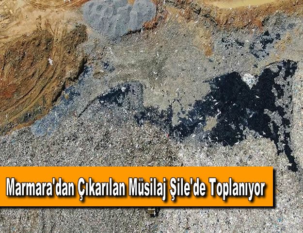 Marmara'dan Çıkarılan Müsilaj Şile'de Toplanıyor