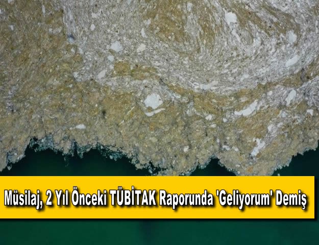 Müsilaj, 2 Yıl Önceki TÜBİTAK Raporunda 'Geliyorum' Demiş