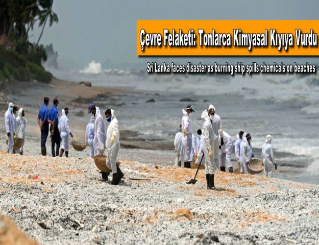 Çevre Felaketi: Tonlarca Kimyasal Kıyıya Vurdu