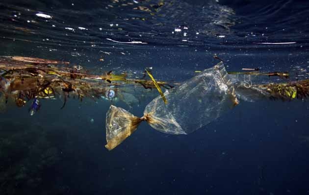 2050de Okyanuslarda Balıktan Çok Plastik Olacak
