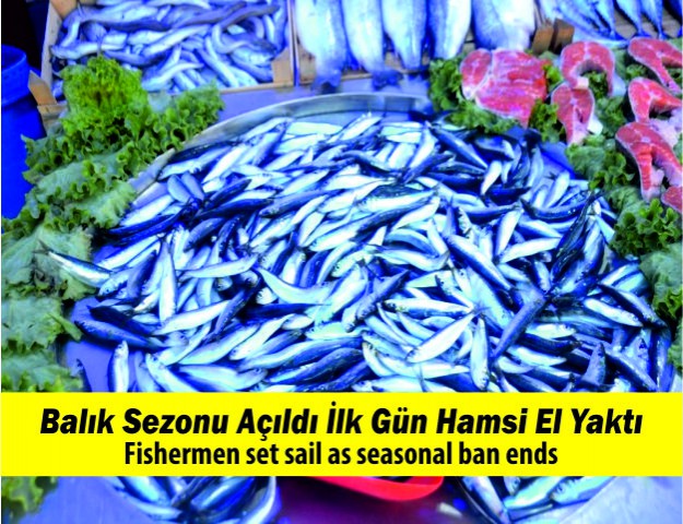 Balık Sezonu Açıldı İlk Gün Hamsi El Yaktı