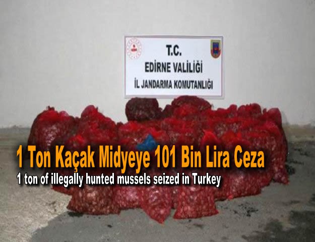 1 Ton Kaçak Midyeye 101 Bin Lira Ceza