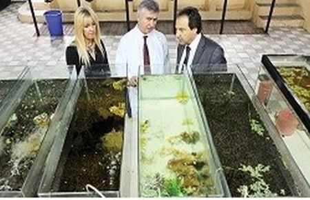 Eski Ahırda Balık Üretimi