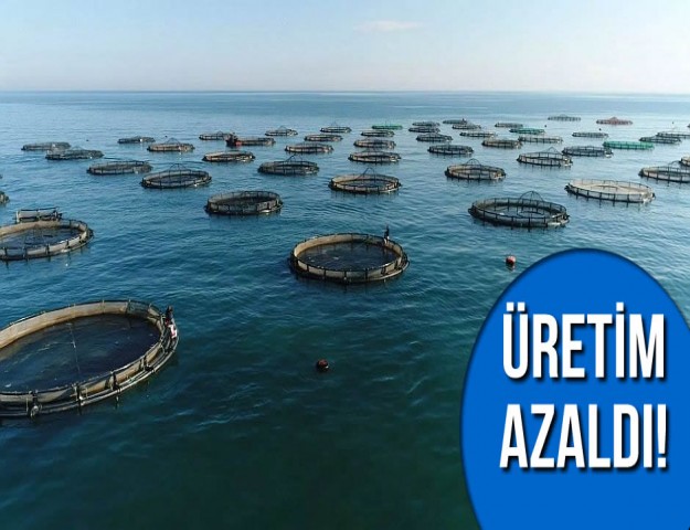 Üretim Azaldı!