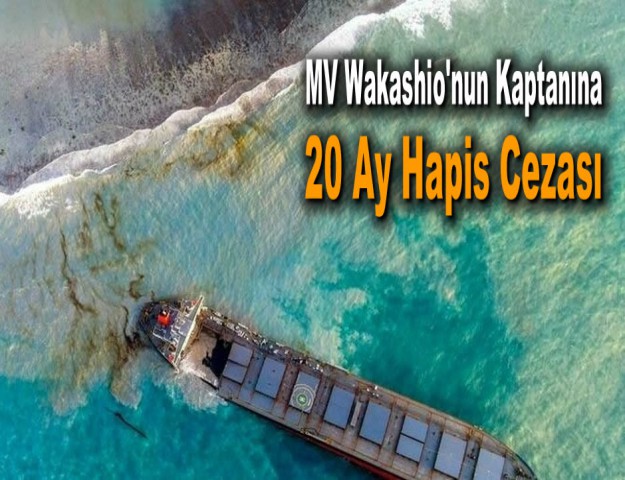 MV Wakashio'nun Kaptanına 20 Ay Hapis Cezası