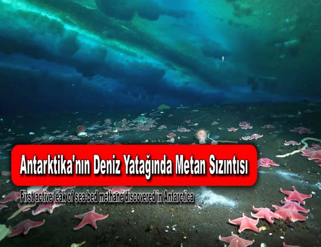 Antarktika'nın Deniz Yatağında Metan Sızıntısı