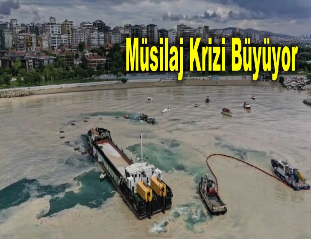 Müsilaj Krizi Büyüyor