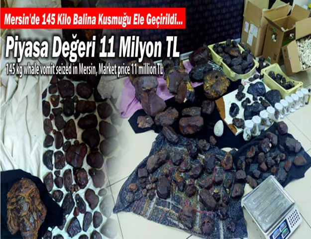 Mersin'de 145 Kilo Balina Kusmuğu Ele Geçirildi...Piyasa Değeri 11 Milyon TL