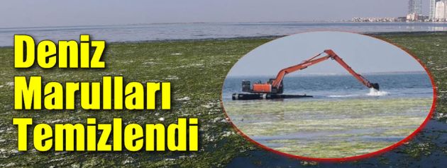 İzmir Körfezindeki deniz marulları temizlendi