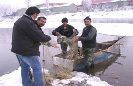 Kura Nehri'de Balık Avı..