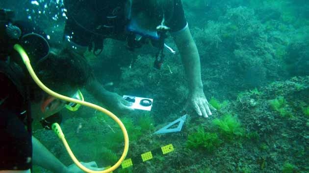 Sinop'un Su Altı Zenginliği Dünyaya Tanıtılacak